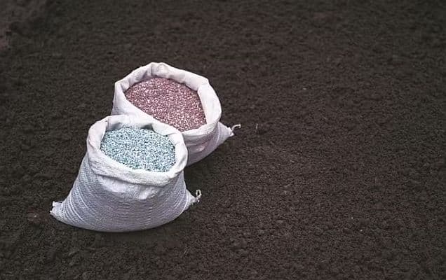 Centre hikes non-urea fertiliser subsidy 10-21% amid West Asia crisis 