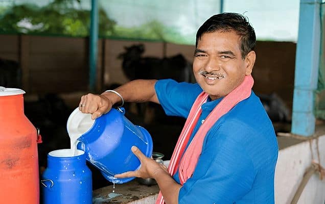 India's milk production up from 17 MT in 1950 to 247 MT in 2025: Official