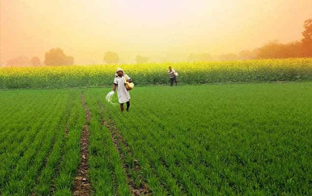 India’s Agricultural Transformation: How India’s Agri sector transformed over the last decade
