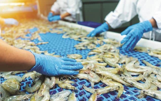 India's seafood exports hit record $8.46 bn in FY26 amid global headwinds 