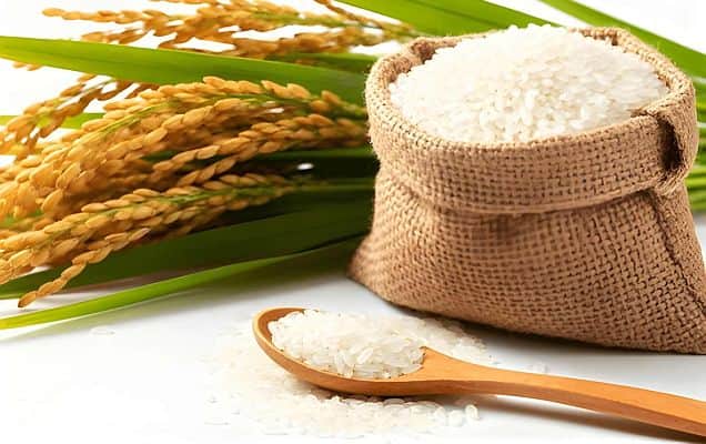 India becomes world's largest rice producer