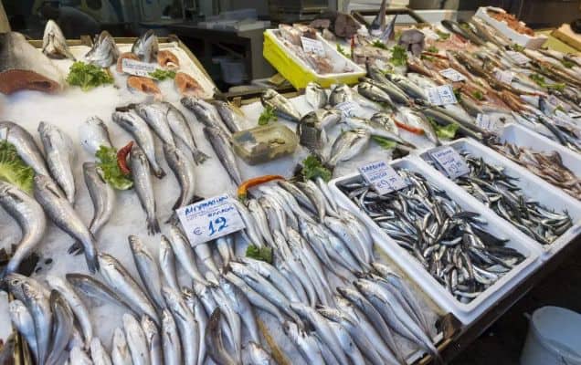 India’s seafood exports rise 17% to $3.97 billion despite a dip in shipments to US 