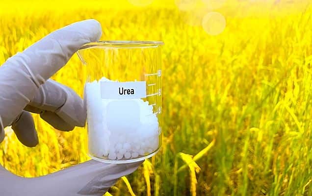 Urea production at 275.75 lakh tons in April-February of FY'26: Government 