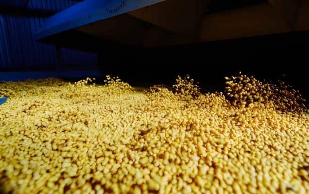 Government's foodgrain stocks hit 604 lakh tonnes, nearly three times buffer requirement 