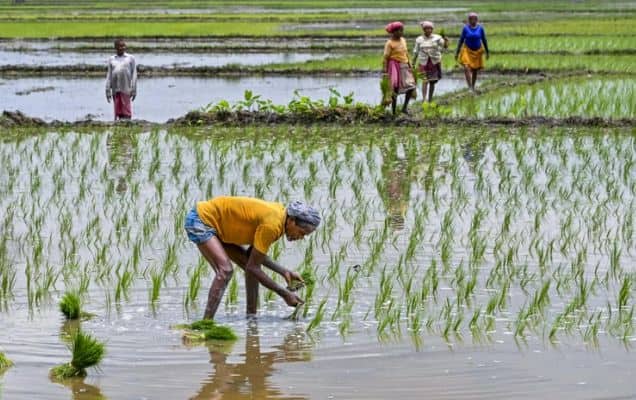 Farm producers' income more than doubled during Modi years, shows new paper