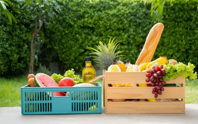 Indias agrifoodtech startups attract USD 2.5 bn last year, 3-fold jump from 2023: Report 