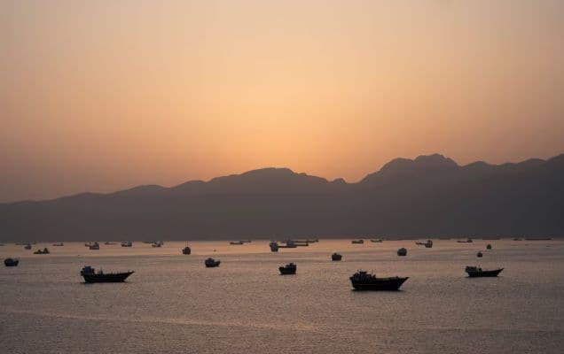 15 of 20 fertiliser ships cross Strait of Hormuz safely, centre assures no supply disruption 