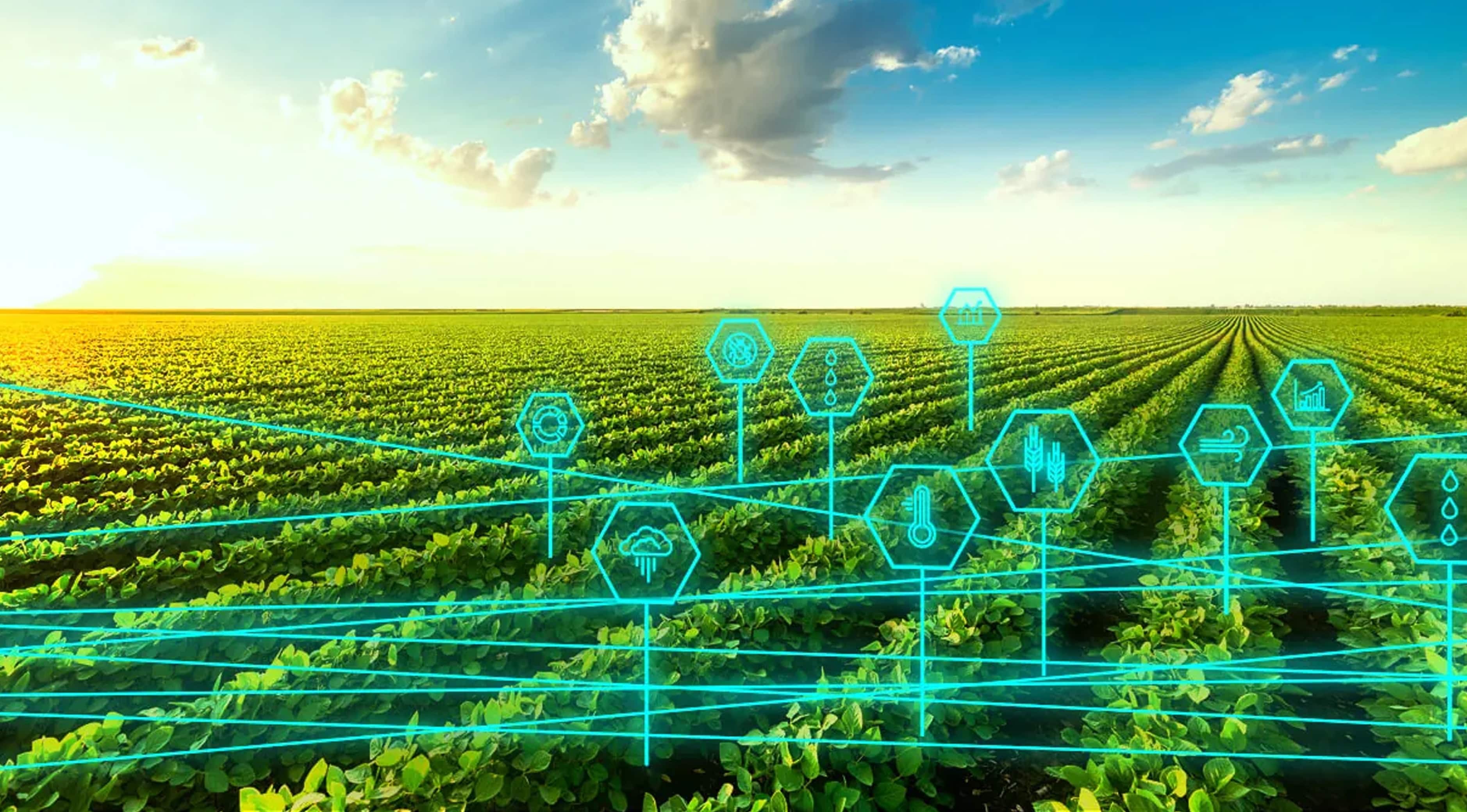 India's Climate Response Gets Smarter: The Role of AI in Climate Response