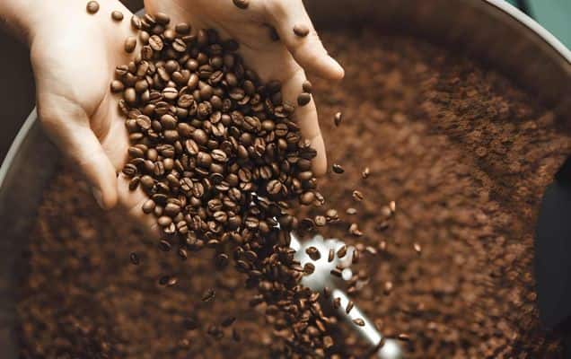 India’s coffee exports volumes rise 28% in Q1, value up 12% on higher demand