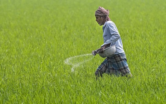 Fertiliser output steady; govt secures 3.7 MT urea imports for kharif  