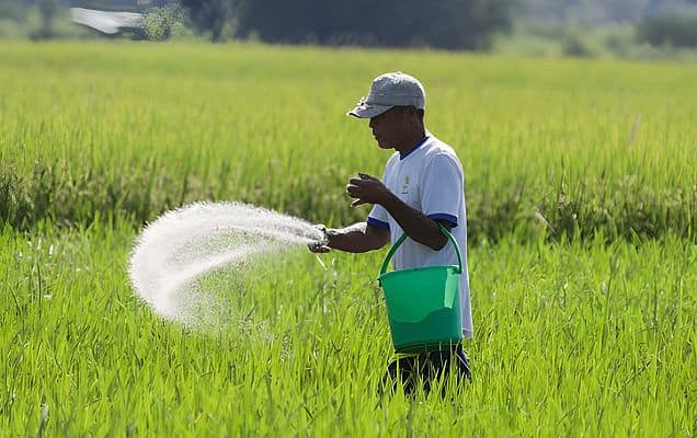 Agriculture Minister renews push for DBT of fertiliser subsidy to farmers  