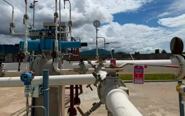 Nagaland gets its first natural gas supply via National Gas Grid