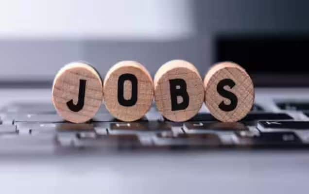 Hiring momentum: India Inc steps up recruitment in 2025; big firms drive gains as demand picks up