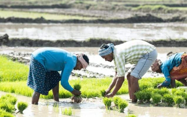 Sahkar se Samriddhi: The rural economy’s new chapter on the road to Viksit Bharat
