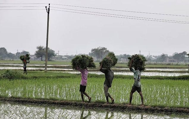 New farm-sector scheme gives thrust to 100 laggard districts 