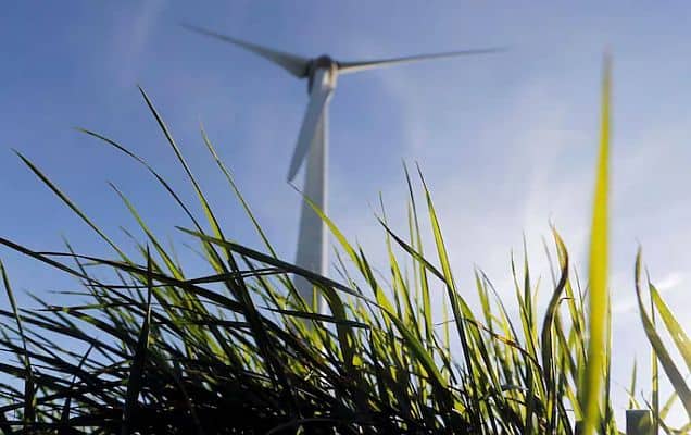 India among Asia's fastest-growing green economies with $110 billion revenue in 2025: LSEG 