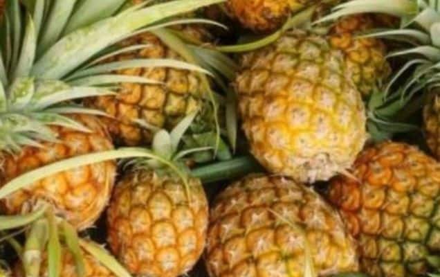 PM Modi Gifts Meghalaya's GI-Tagged Pineapples To UAE President 