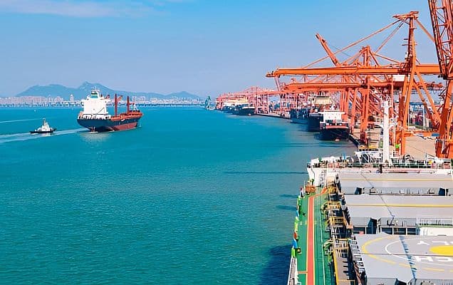 India's oilmeal export to China jumps 20- fold to 7.79 lakh tons in 11 months of FY26: SEA 