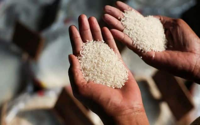 India's rice exports to 26 priority markets outpace three-year average 