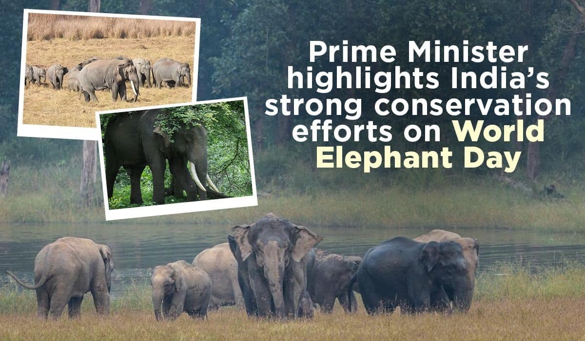 Prime Minister highlights India’s strong conservation efforts on World Elephant Day