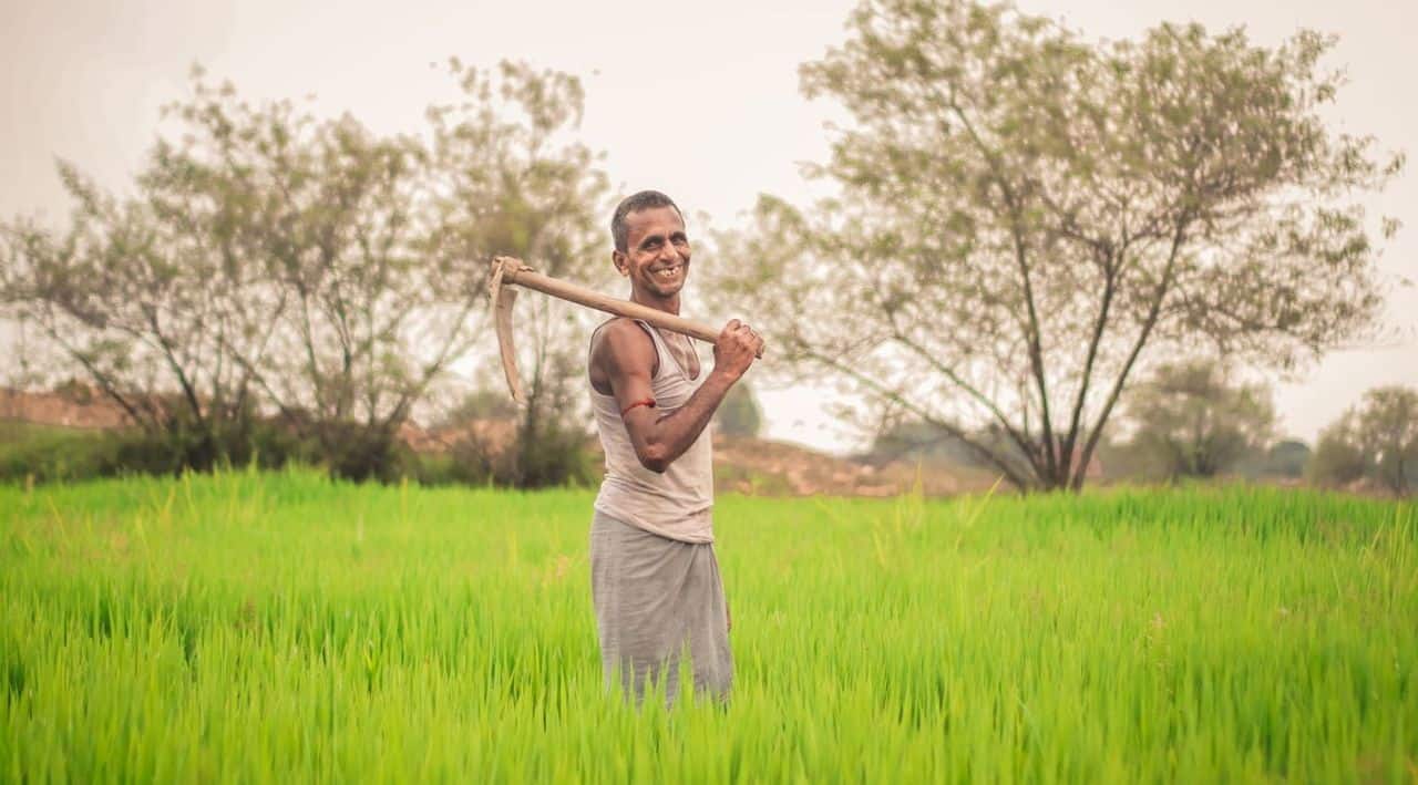 Enhancing Agricultural Productivity: India’s Mission-Mode Transformation Since 2014