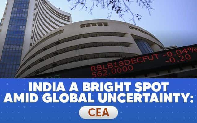India a bright spot amid global uncertainty: CEA