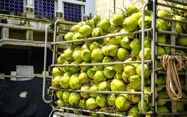 India's coconut product exports explode in FY26, mark a spurt of 62% on year 