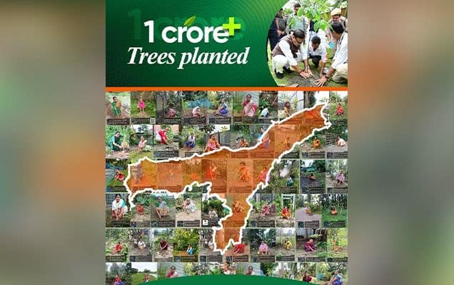 Assam logs 1.02 Cr saplings plantation in eight hours on World Environment Day  