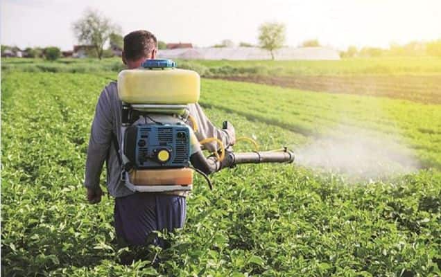 India's fertiliser exports rise 52% in three years from FY24 to FY26