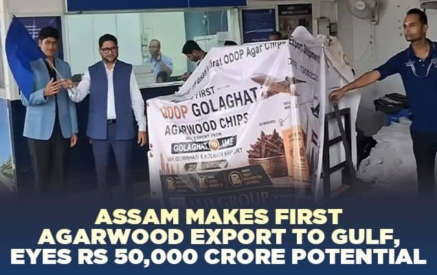 Assam makes first agarwood export to Gulf, eyes Rs 50,000 crore potential 