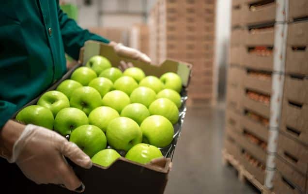 Agri and processed foods exports rise 7% to $ 5.9 billion in Q1  