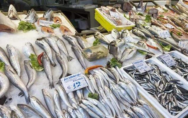 India’s seafood exports cross ₹72,325.82 crore in FY26 on shrimp led growth, market diversification 