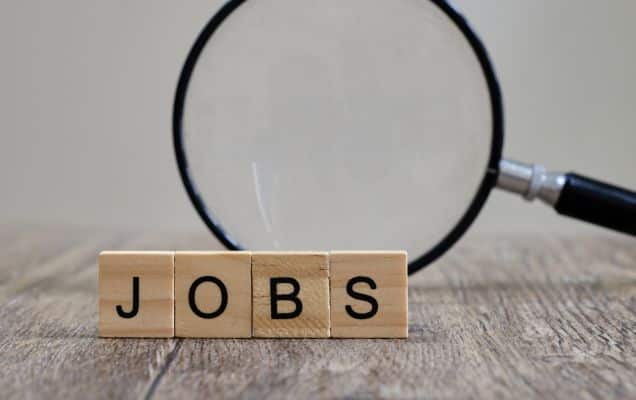 India added 17 crore jobs since 2017-18: Youth unemployment falls; female participation tops 40%