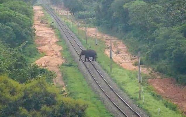 Railways deploys AI on tracks, trains and stations to boost safety