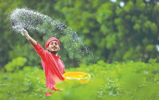 Farmers procure 3.5 times more organic manure this kharif season