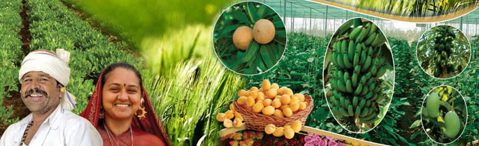 CM blogs on Krishi Mahotsav – Agro-revolution by reaching farmers at their doorsteps